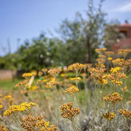 Apartment Katarina Šilo